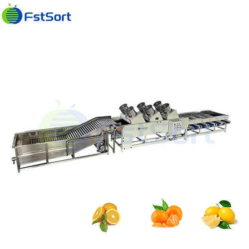 Citrus Air - Drying Sorting Machine Production Line factory